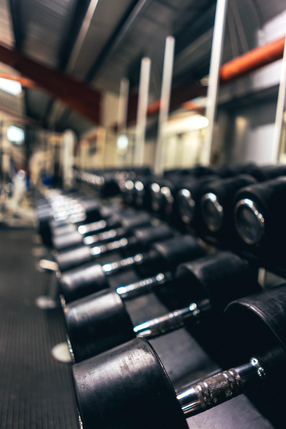 line up of dumbbells at the gym